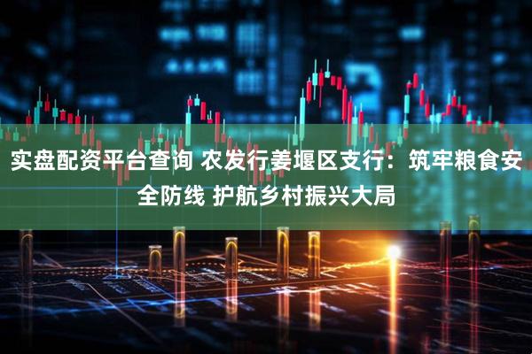 实盘配资平台查询 农发行姜堰区支行：筑牢粮食安全防线 护航乡村振兴大局
