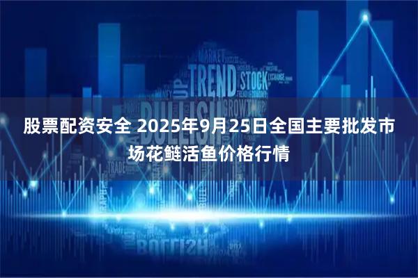股票配资安全 2025年9月25日全国主要批发市场花鲢活鱼价格行情